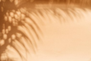 Turuncu arka planda tropik palmiye yapraklarının bulanık gölgesi. Yaz konsepti.