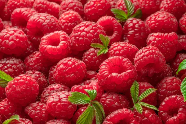 Fresh Red Ripe Raspberries Raspberries Background — Stock Photo, Image