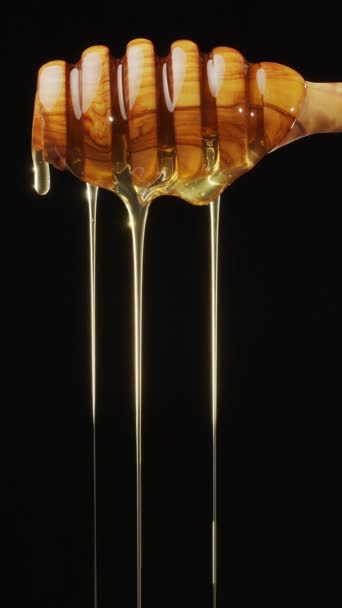一滴滴的蜂蜜从一个木制蜂蜜搅拌器中流出 慢慢地滴落下来 黑色背景 一个极好的食物背景为您的项目 垂直录像 — 图库视频影像