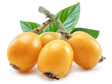 Beyaz arka planda yeşil yapraklı olgun loquats meyveleri.