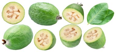 Beyaz arka planda feijoa meyveleri, yaprakları ve dilimleri. Dosya kırpma yolları içeriyor.