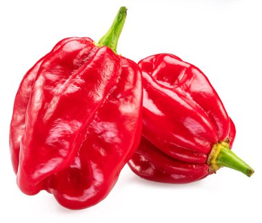 Kırmızı habanero biberleri beyaz arkaplanda izole edilmiş.. 