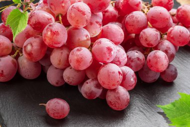 Gri arka planda üzüm yapraklı kırmızı masa üzümü kümesi.