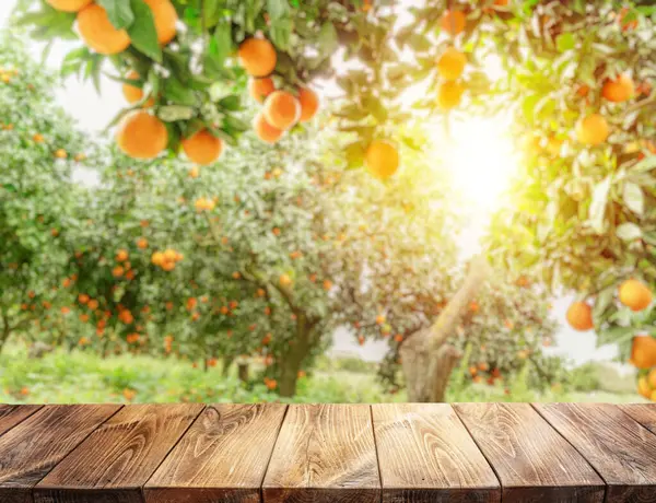 Boş Ahşap Tahta Masa Üstü Bulanık Portakal Bahçesi Ürün Görünümünüzü Telifsiz Stok Imajlar