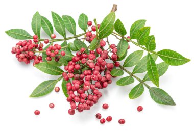 Beyaz arka planda yeşil yapraklı taze pembe biberler..