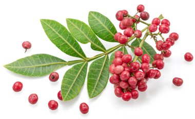 Beyaz arka planda yeşil yapraklı taze pembe biberler..