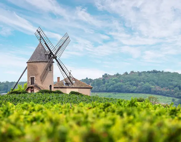 ロマネシュ トロリンズ近くに位置する有名なフランスの赤ワインの象徴的な風車 ストック写真