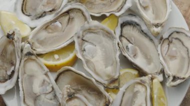 Taze çiğ yenebilir istiridye, popüler deniz ürünleri yakın plan. Yumuşak deniz istiridyeleri.