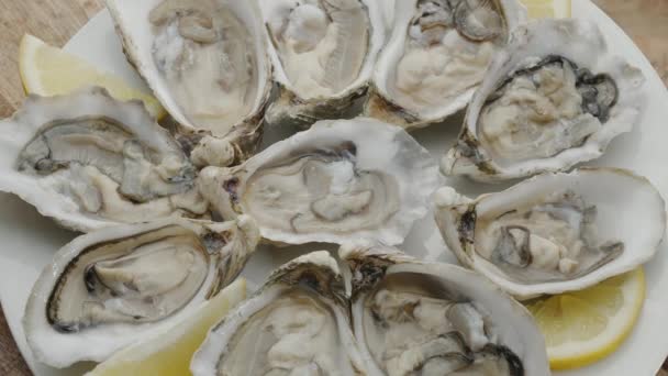 Huîtres Comestibles Crues Fraîches Gros Plan Sur Les Mollusques Crustacés — Video