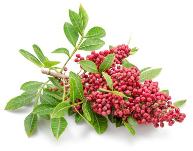 Beyaz arka planda yeşil yapraklı taze pembe biberler..