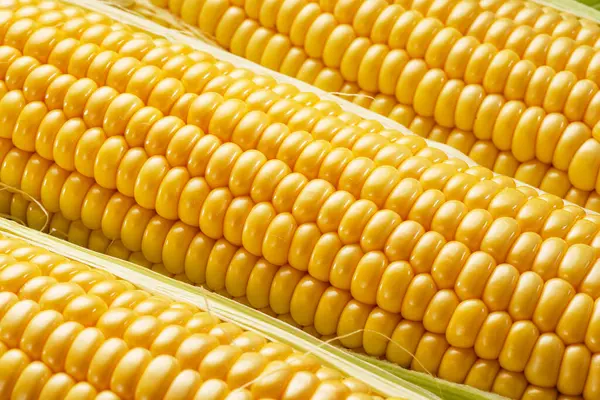 Zralé Kukuřičné Hlavy Kukuřičnými Vousy Listy Pěkné Zeleninové Vaření Pozadí Stock Obrázky