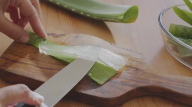Aloe vera jölesini yapraktan bıçakla ayırıp dilimliyor.. 