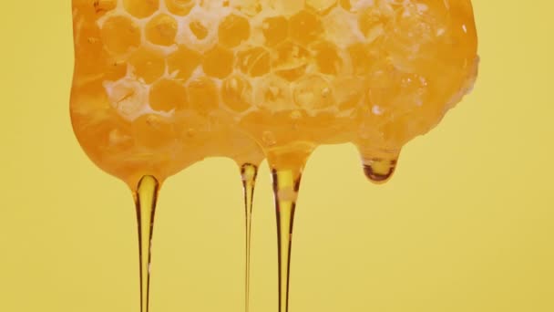 Honigtropfen Fließen Langsam Von Einer Bienenwabe Herab Gelber Hintergrund Makroaufnahme — Stockvideo