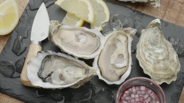 Fresh Raw Edible Oysters Popular Shellfish Seafood Close Mollusk Marine — Stock Video