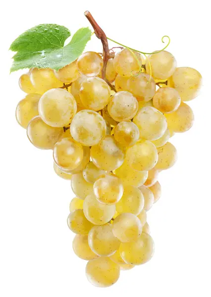 Bunch White Table Grapes Grape Leaf File Contains Clipping Path Stock Fotó