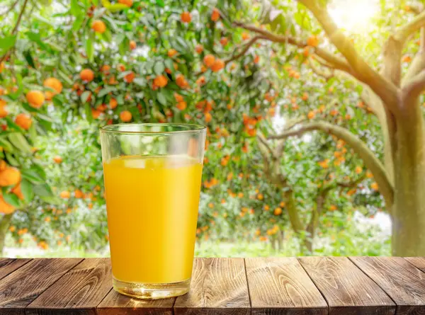 Glas Apelsinjuice Träskiva Eller Bordsskiva Och Suddig Apelsinfruktträdgård Placera Din Stockbild