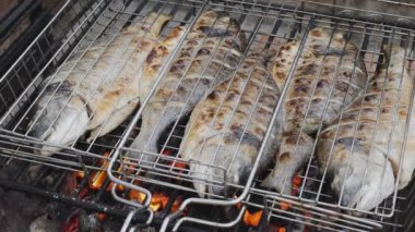 Dorado balığı ızgaranın üstünde ve altında barbekü kömürü yakıyor. Kamera ızgara ızgarası boyunca yaklaşıyor..