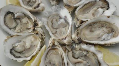 Taze çiğ yenebilir istiridye, popüler deniz ürünleri yakın plan. Yumuşak deniz istiridyeleri.