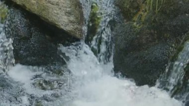 Ormandaki temiz dağ deresi, güneşli bir yaz gününde doğal manzara..