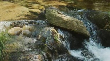 Ormandaki temiz dağ deresi, güneşli bir yaz gününde doğal manzara..