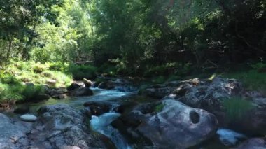 Ormandaki dağ gibi berrak dere, güneşli bir yaz gününde doğal manzara. Dere boyunca insansız hava aracı hareketi.