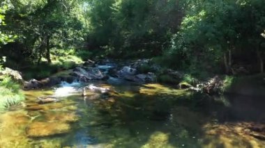 Ormandaki dağ gibi berrak dere, güneşli bir yaz gününde doğal manzara. Dere boyunca insansız hava aracı hareketi.