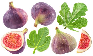 Set of fig fruits, fig leaves and slices of fig on white background. File contains clipping paths. clipart