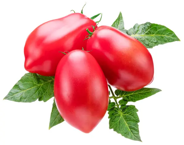 stock image Red ripe Roma tomatoes with green leaves isolated on white background. File contains clipping path.