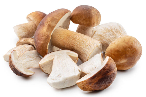 Group of porcini or boletus mushrooms isolated on white background. File contains clipping path.