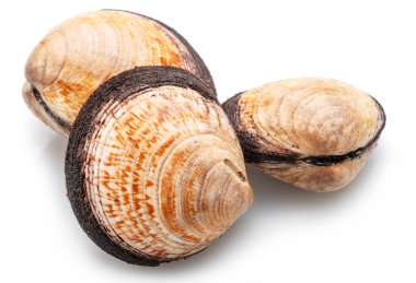 Beyaz arkaplandaki yenilebilir çiğ midyeler. Lezzetli yemek..