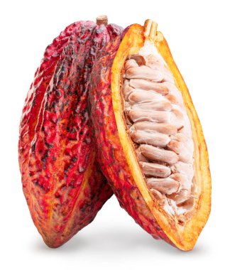 Kakao meyvesi ve beyaz arka planda izole edilmiş kakao kabuğu. Kesme yolu.