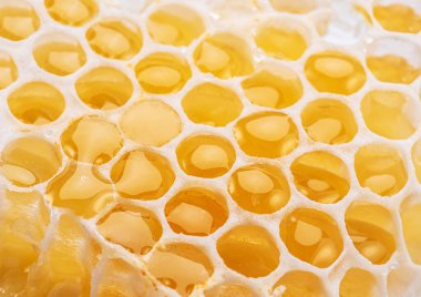 Taze bal ile doldurulmuş taze bal petekleri. Organik gıda geçmişi.