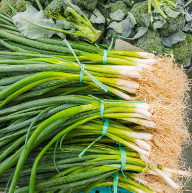Çiftçi pazarında taze soğan ya da taze soğan demetleri yakın..
