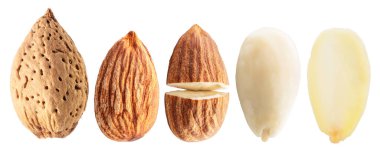 Beyaz arka planda izole edilmiş farklı badem fıstıkları. Dosya kırpma yolu içeriyor.