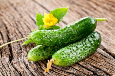 Salatalık ve yeşil salatalık eski kırsal ahşap masa üzerinde.