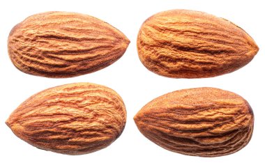 Beyaz arka planda izole edilmiş dört badem fıstığı. Dosya kırpma yolu içeriyor.