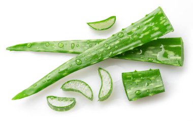 Beyaz arka planda izole edilmiş su damlalarıyla kaplı taze aloe vera yaprakları..