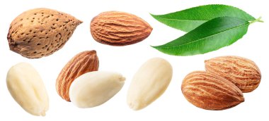 Badem, badem ve badem, beyazlatılmış badem ve yaprak koyun. Dosya kırpma yolu içeriyor.