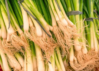 Çiftlik pazarında taze soğan ya da taze soğan satılıyor. Gıda arkaplanı.