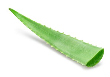 Beyaz arka planda izole edilmiş su damlalarıyla kaplı taze aloe vera yaprakları..