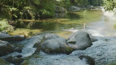 Ormandaki temiz dağ deresi; güneşli bir yaz gününde doğal manzara.