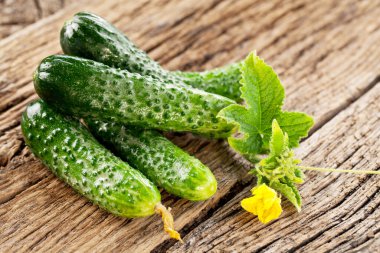 Salatalık ve yeşil salatalık eski kırsal ahşap masa üzerinde.