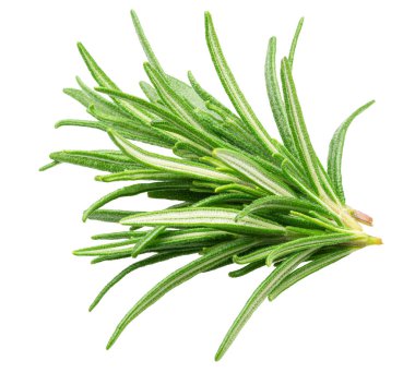 Beyaz arka planda yeşil taze biberiye yaprağı var. Dosya kırpma yolu içeriyor.