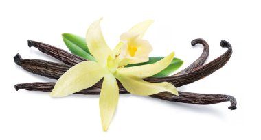 Vanilya çiçeği ve fasulye ya da beyaz arka planda izole edilmiş vanilya çubukları. Dosya kırpma yolu içeriyor.