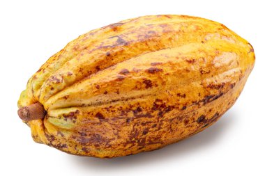 Taze sarı kakao meyvesi veya beyaz arka planda izole edilmiş kakao kabuğu. Kesme yolu.