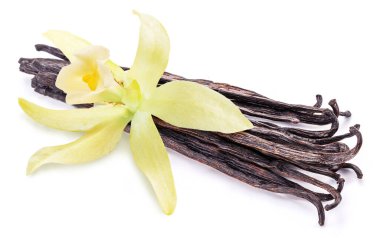 Vanilya çiçeği ve fasulye ya da beyaz arka planda izole edilmiş vanilya çubukları.