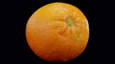 Siyah zemin üzerinde olgun bir portakal meyvesinin 360 derece döndürmesi.