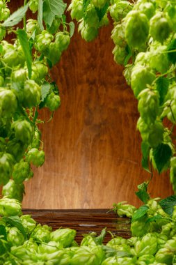 Taze yeşil zıplama çiçekleri ve zıp zıp sarmaşık yaprakları arka planda çerçeve ve ahşap duvar ve masa olarak düzenlenir. Bira üretiminin aroması ve tadının önemli bir bileşeni..