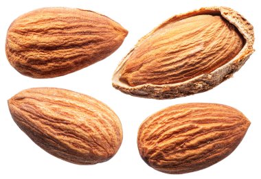 Beyaz arka planda izole edilmiş dört badem fıstığı. Dosya kırpma yolu içeriyor.
