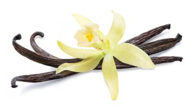 Vanilya çiçeği ve fasulye ya da beyaz arka planda izole edilmiş vanilya çubukları. Dosya kırpma yolu içeriyor.
